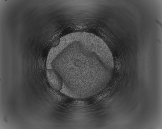 X0000097500276200803201559