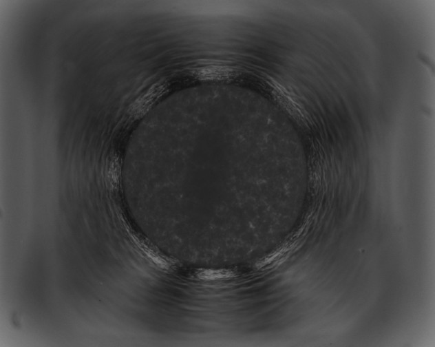 X0000097500277200803201559