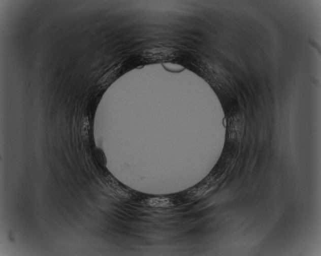 X0000097500279200803201559