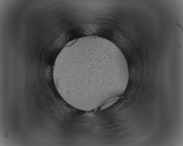 X0000097500280200803201559