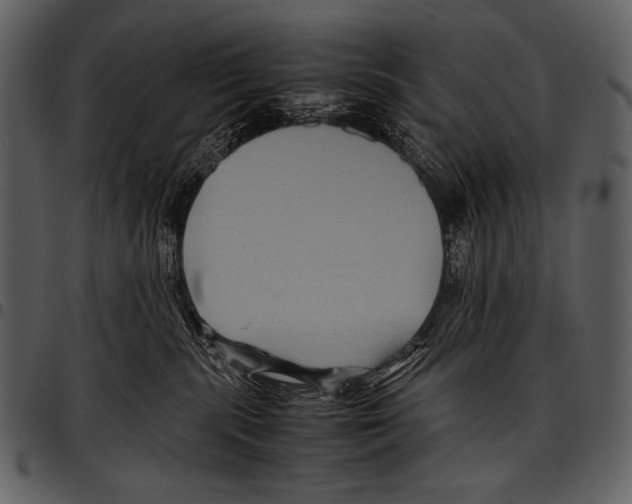 X0000097500283200803201559