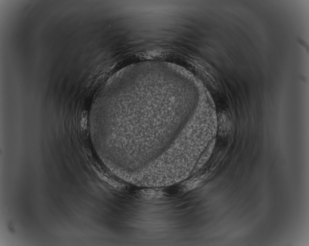 X0000097500284200803201559