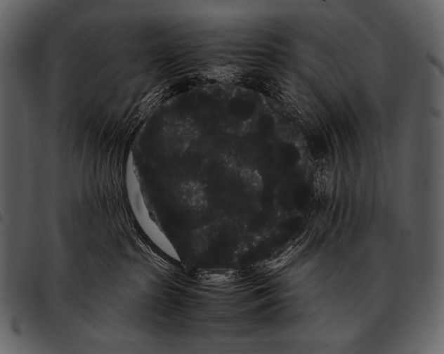 X0000097500285200803201559