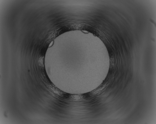 X0000097500286200803201559