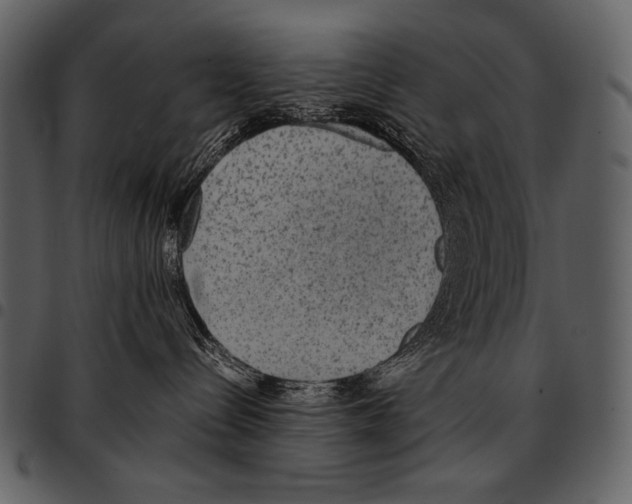X0000097500288200803201559