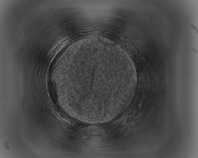 X0000097500290200803201558