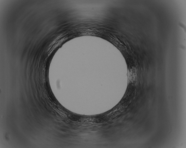 X0000097500291200803201558