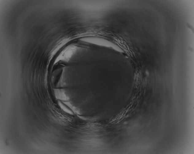 X0000097500292200803201558