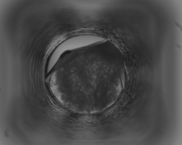 X0000097500293200803201558