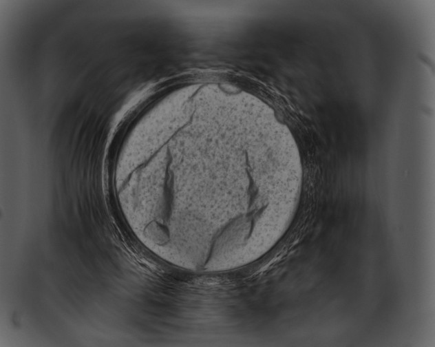 X0000097500294200803201558