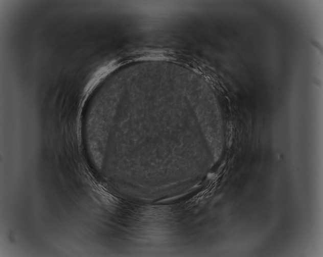 X0000097500296200803201558