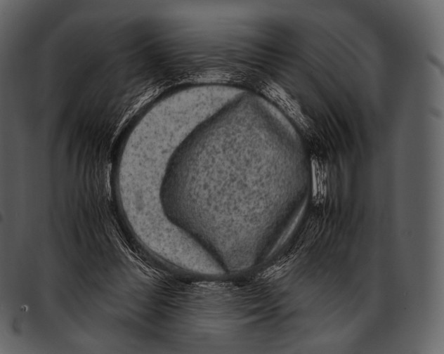 X0000097500300200803201558