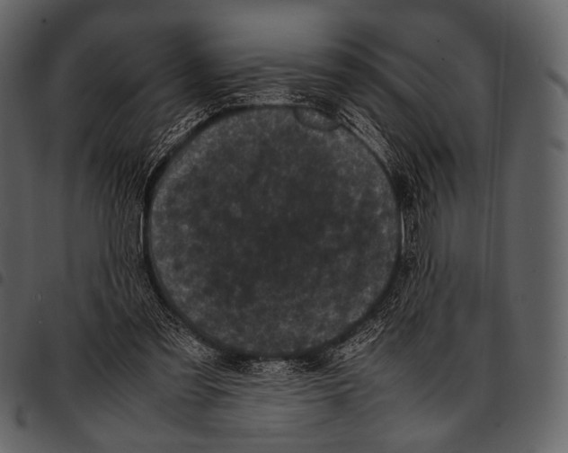 X0000097500301200803201558