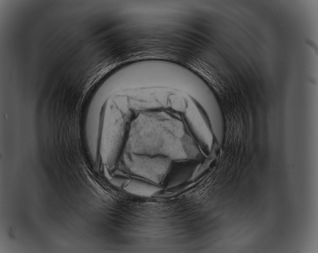 X0000097500302200803201558