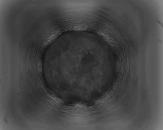 X0000097500303200803201558