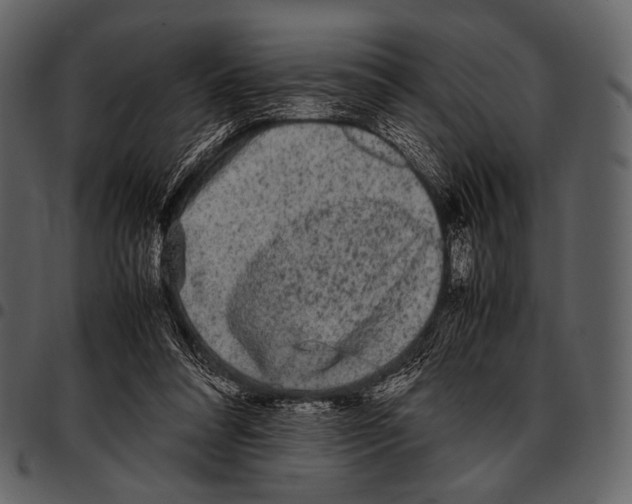 X0000097500304200803201558