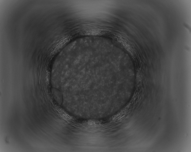 X0000097500305200803201558