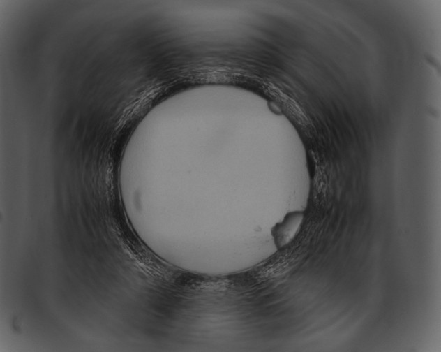X0000097500306200803201558