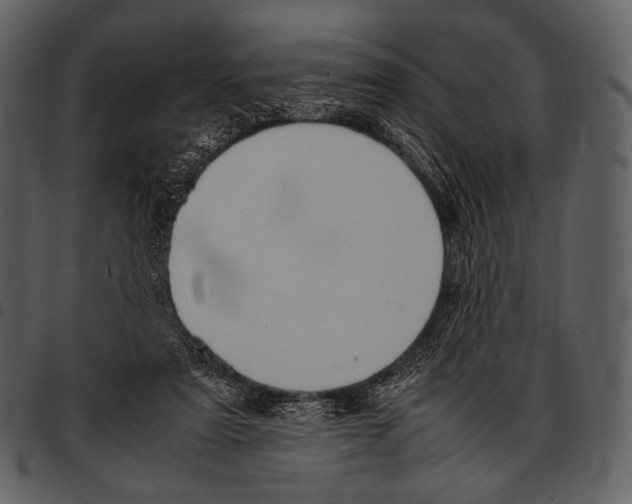 X0000097500307200803201558