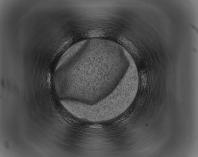 X0000097500308200803201558