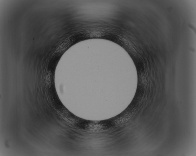 X0000097500311200803201558