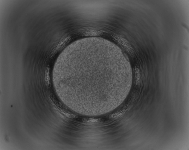 X0000097500312200803201558