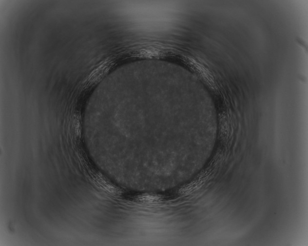 X0000097500313200803201558
