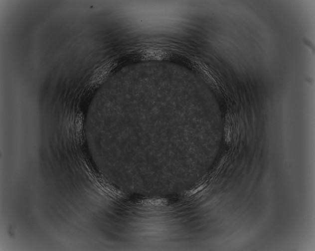 X0000097500314200803201558