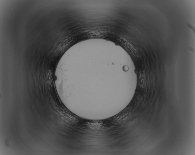 X0000097500318200803201558