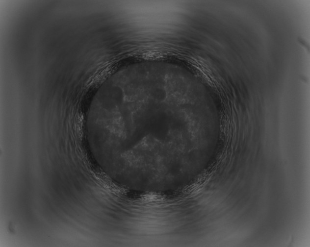X0000097500319200803201558