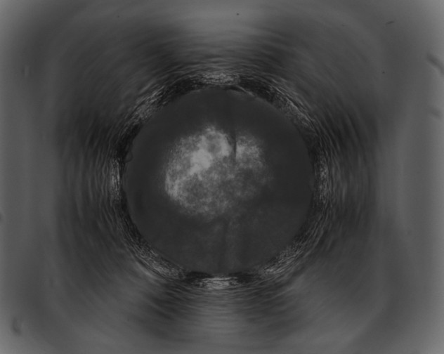 X0000097500320200803201558
