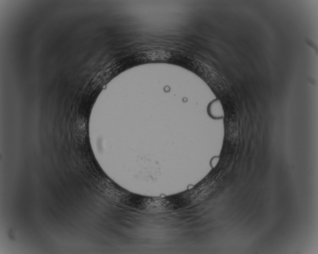 X0000097500321200803201558