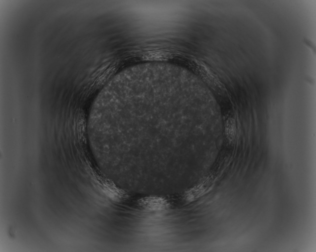 X0000097500322200803201558