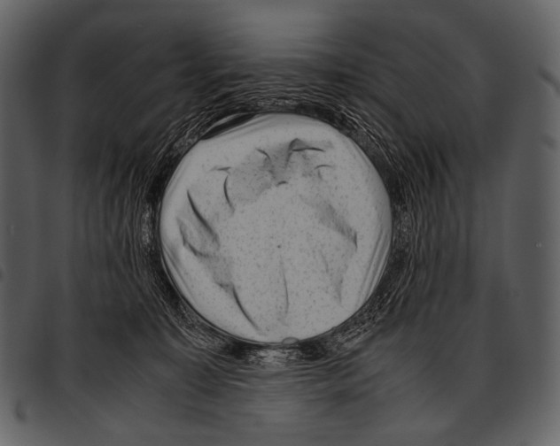 X0000097500323200803201558