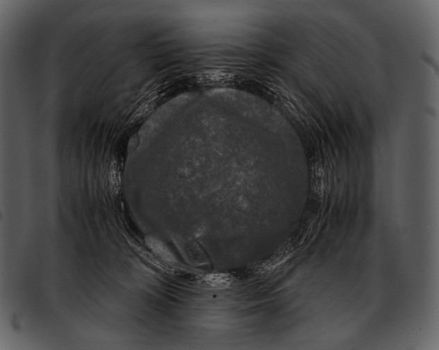 X0000097500324200803201558