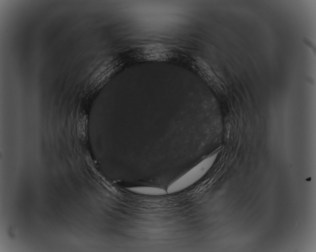 X0000097500325200803201558