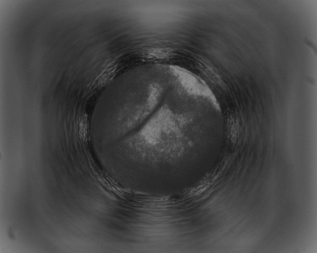 X0000097500328200803201558