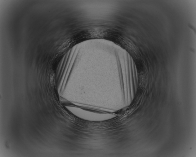 X0000097500329200803201558