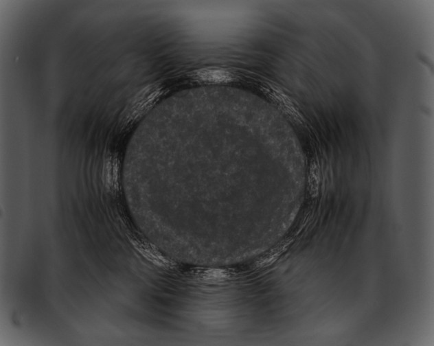 X0000097500330200803201558