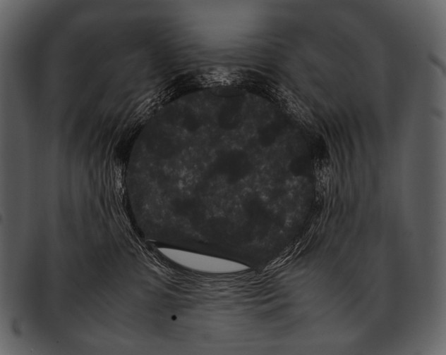 X0000097500331200803201558