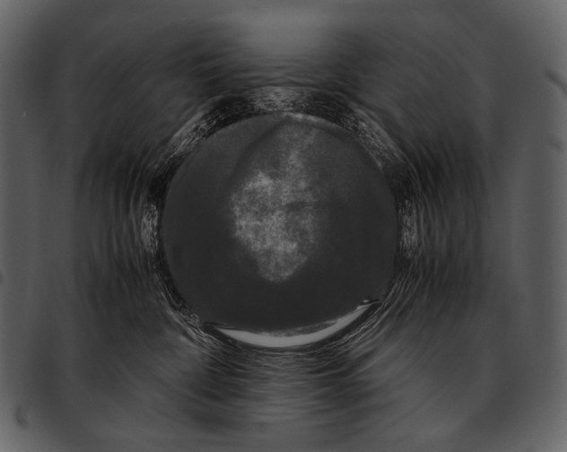 X0000097500332200803201558