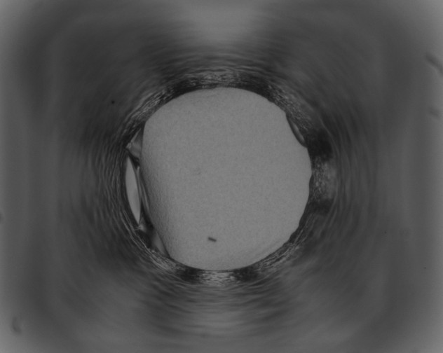 X0000097500333200803201558