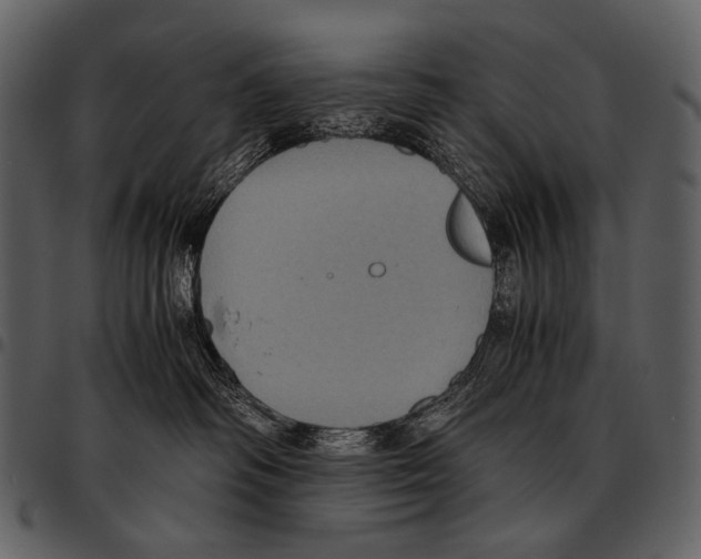 X0000097500334200803201558
