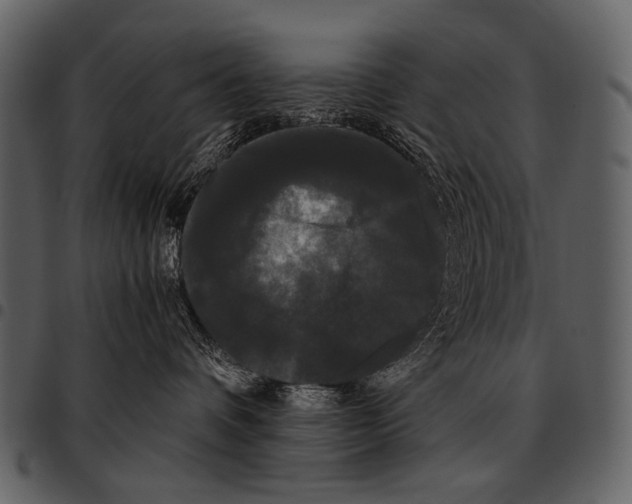 X0000097500336200803201558
