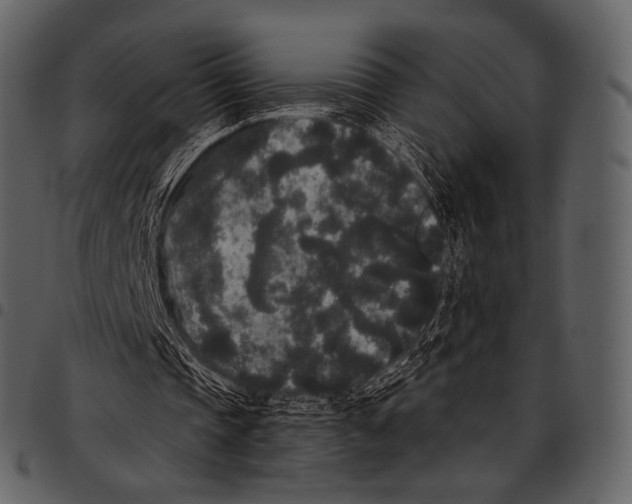 X0000097500337200803201557