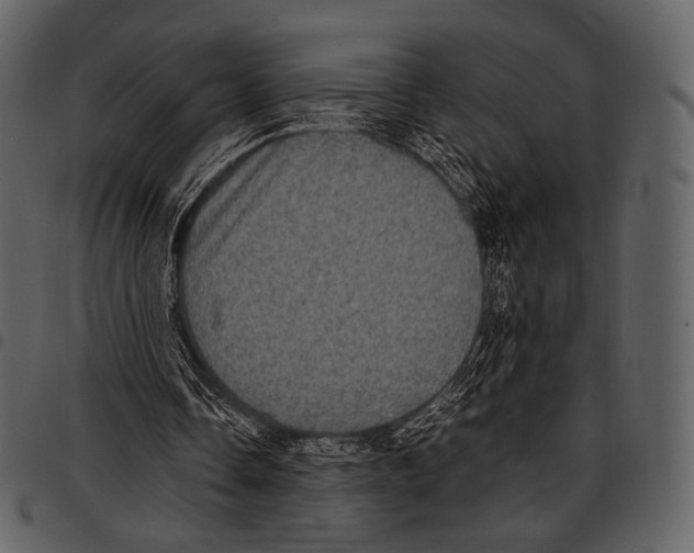 X0000097500338200803201557