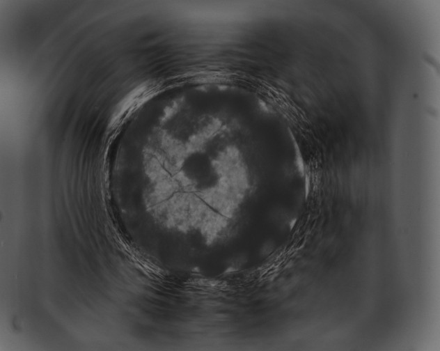 X0000097500339200803201557
