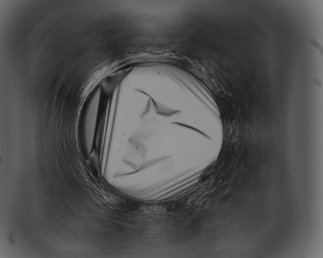 X0000097500340200803201557