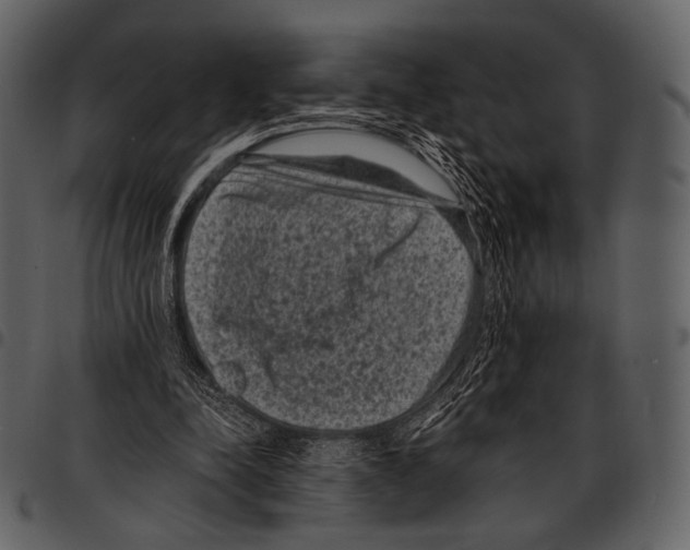 X0000097500342200803201557