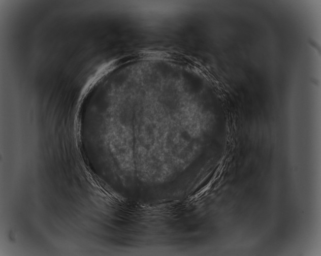 X0000097500343200803201557